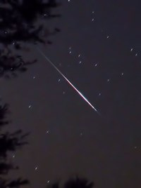 Perseid in Taurus (click to enlarge)